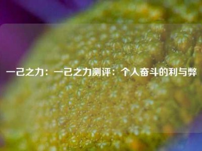 一己之力：一己之力测评：个人奋斗的利与弊