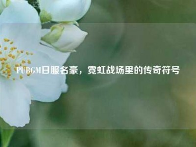 PUBGM日服名豪，霓虹战场里的传奇符号