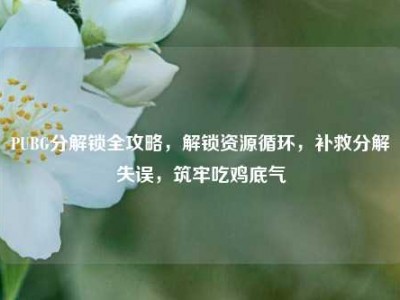 PUBG分解锁全攻略，解锁资源循环，补救分解失误，筑牢吃鸡底气
