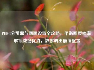 PUBG分辨率与画面设置全攻略，平衡画质帧率，解锁战场优势，教你调出最佳配置