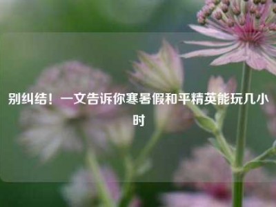 别纠结！一文告诉你寒暑假和平精英能玩几小时