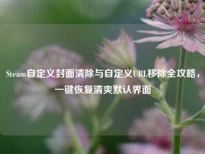 Steam自定义封面清除与自定义URL移除全攻略，一键恢复清爽默认界面