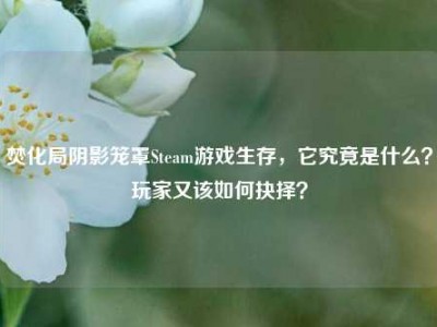 焚化局阴影笼罩Steam游戏生存，它究竟是什么？玩家又该如何抉择？