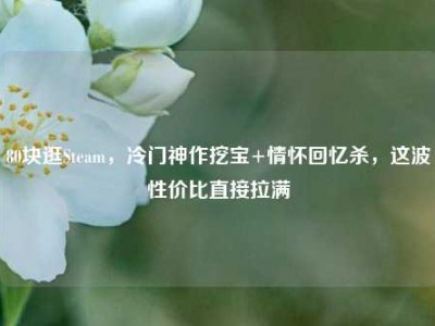 80块逛Steam，冷门神作挖宝+情怀回忆杀，这波性价比直接拉满
