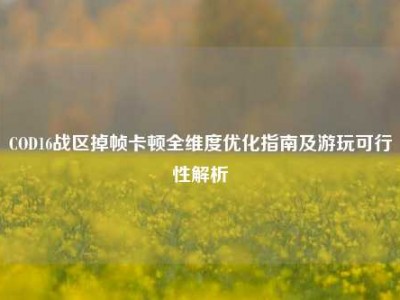 COD16战区掉帧卡顿全维度优化指南及游玩可行性解析