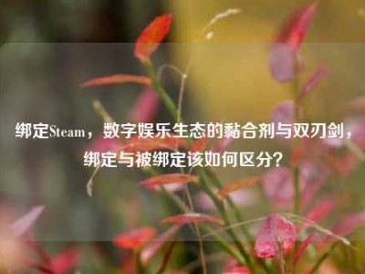 绑定Steam，数字娱乐生态的黏合剂与双刃剑，绑定与被绑定该如何区分？