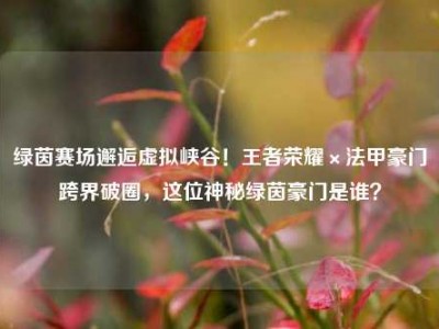 绿茵赛场邂逅虚拟峡谷！王者荣耀×法甲豪门跨界破圈，这位神秘绿茵豪门是谁？