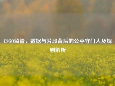 CSGO监管，数据与片段背后的公平守门人及规则解析
