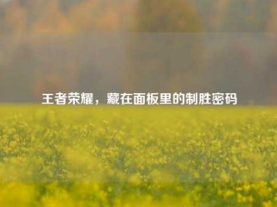 王者荣耀，藏在面板里的制胜密码