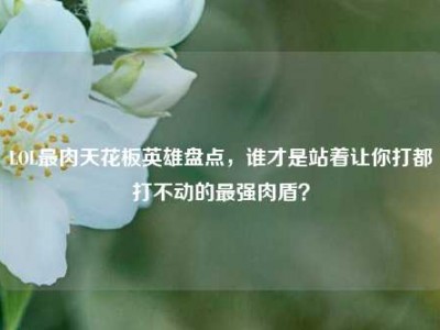 LOL最肉天花板英雄盘点，谁才是站着让你打都打不动的最强肉盾？