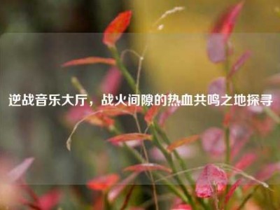 逆战音乐大厅，战火间隙的热血共鸣之地探寻