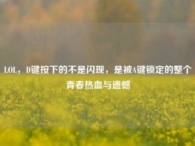 LOL，D键按下的不是闪现，是被A键锁定的整个青春热血与遗憾