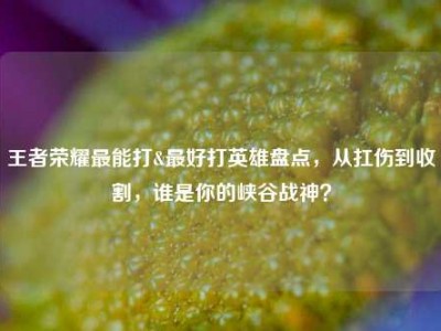 王者荣耀最能打&最好打英雄盘点，从扛伤到收割，谁是你的峡谷战神？