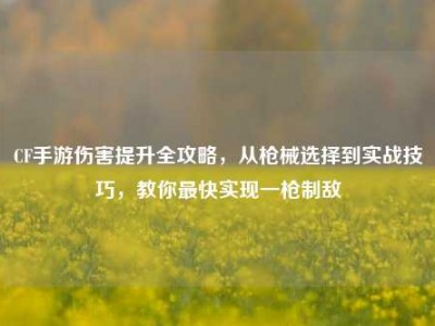 CF手游伤害提升全攻略，从枪械选择到实战技巧，教你最快实现一枪制敌