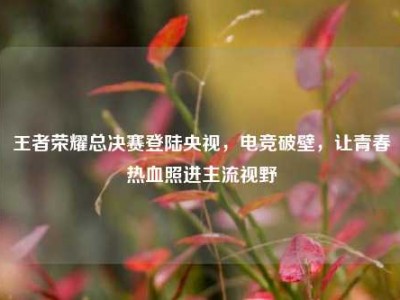 王者荣耀总决赛登陆央视，电竞破壁，让青春热血照进主流视野
