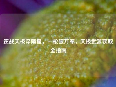 逆战天极淬陨星，一枪破万军，天极武器获取全指南