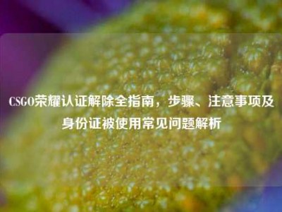 CSGO荣耀认证解除全指南，步骤、注意事项及身份证被使用常见问题解析
