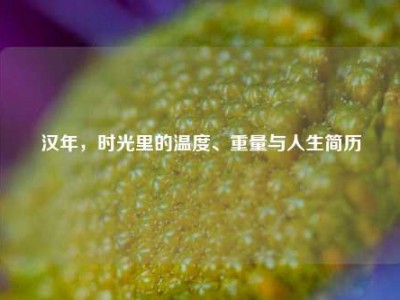 汉年，时光里的温度、重量与人生简历