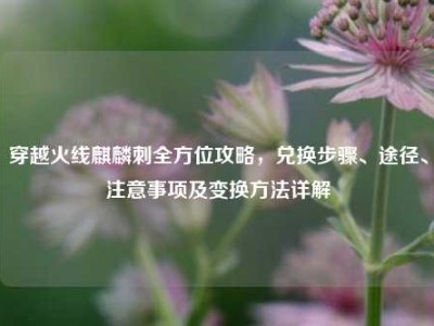 穿越火线麒麟刺全方位攻略，兑换步骤、途径、注意事项及变换方法详解