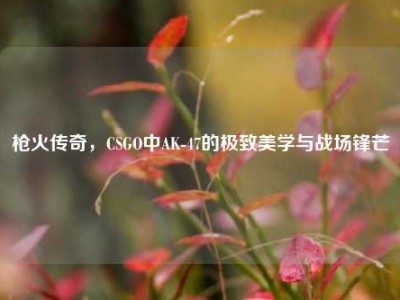 枪火传奇，CSGO中AK-47的极致美学与战场锋芒