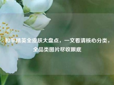 和平精英全皮肤大盘点，一文看清核心分类，全品类图片尽收眼底