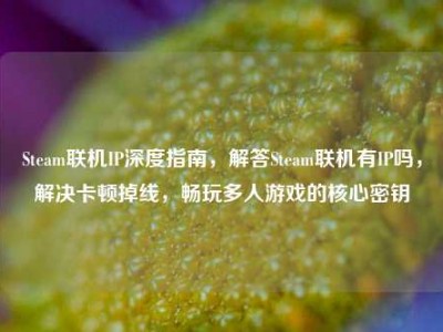 Steam联机IP深度指南，解答Steam联机有IP吗，解决卡顿掉线，畅玩多人游戏的核心密钥