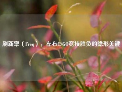 刷新率（Freq），左右CSGO竞技胜负的隐形关键