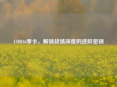 COD16季卡，解锁战场深度的进阶密钥