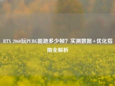 RTX 2060玩PUBG能跑多少帧？实测数据+优化指南全解析