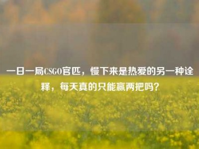 一日一局CSGO官匹，慢下来是热爱的另一种诠释，每天真的只能赢两把吗？