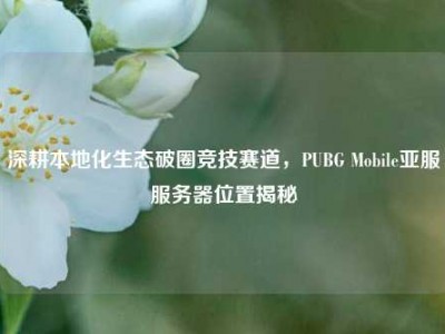 深耕本地化生态破圈竞技赛道，PUBG Mobile亚服服务器位置揭秘