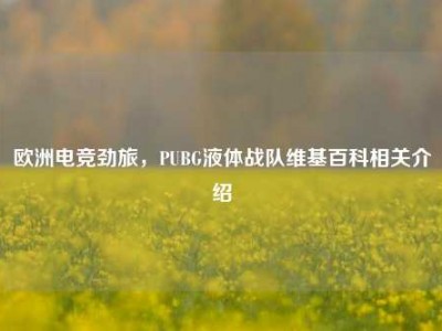 欧洲电竞劲旅，PUBG液体战队维基百科相关介绍