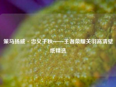 策马扬威·忠义千秋——王者荣耀关羽高清壁纸精选
