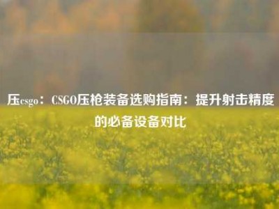 压csgo：CSGO压枪装备选购指南：提升射击精度的必备设备对比