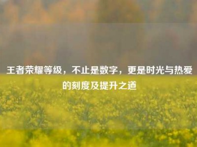 王者荣耀等级，不止是数字，更是时光与热爱的刻度及提升之道