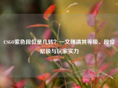 CSGO紫色段位是几转？一文理清其等级、段位层级与玩家实力