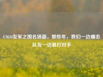 CSGO友军之围名场面，那些年，我们一边痛击队友一边暴打对手