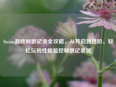 Steam游戏帧数记录全攻略，从开启到进阶，轻松玩转性能监控帧数记录器