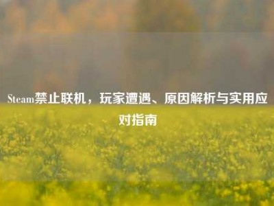 Steam禁止联机，玩家遭遇、原因解析与实用应对指南