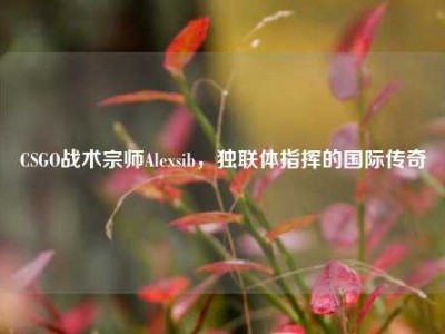 CSGO战术宗师Alexsib，独联体指挥的国际传奇
