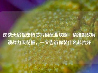 逆战天启狙击枪芯片搭配全攻略，精准制敌解锁战力天花板，一文告诉你装什么芯片好