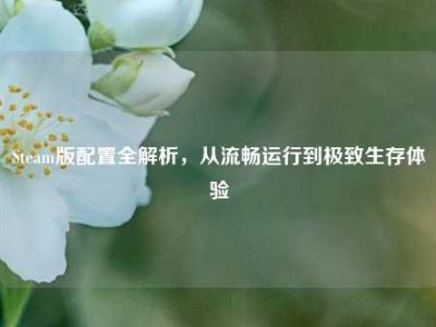 Steam版配置全解析，从流畅运行到极致生存体验
