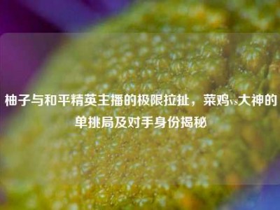 柚子与和平精英主播的极限拉扯，菜鸡vs大神的单挑局及对手身份揭秘