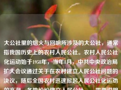 大公社里的烟火与回响所涉及的大公社，通常指我国历史上的农村人民公社。农村人民公社化运动始于1958年，当年8月，中共中央政治局扩大会议通过关于在农村建立人民公社问题的决议，随后全国农村迅速掀起人民公社化运动的高潮，各地纷纷建立人民公社。，需要说明的是，人民公社化运动在实践中存在一些问题，后来经过调整，特别是改革开放后，随着家庭联产承包责任制的推行，人民公社体制逐步被改革。1983年，中央决定撤销人民公社，建立乡、镇政府，人民公社体制正式退出历史舞台。