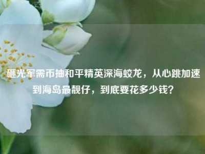 砸光军需币抽和平精英深海蛟龙，从心跳加速到海岛最靓仔，到底要花多少钱？