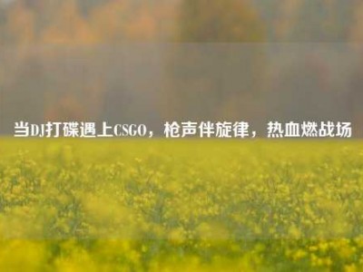 当DJ打碟遇上CSGO，枪声伴旋律，热血燃战场