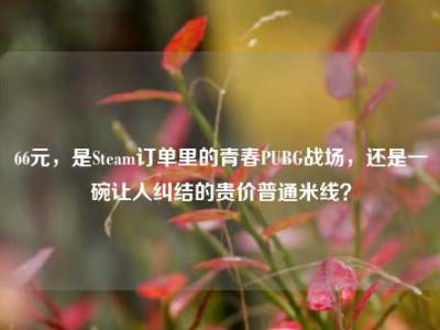66元，是Steam订单里的青春PUBG战场，还是一碗让人纠结的贵价普通米线？