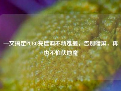 一文搞定PUBG亮度调不动难题，告别暗屏，再也不怕伏地魔