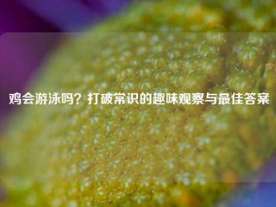 鸡会游泳吗？打破常识的趣味观察与最佳答案