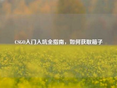 CSGO入门入坑全指南，如何获取箱子